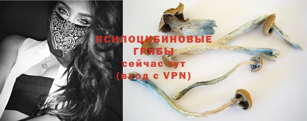 сатива Заводоуковск