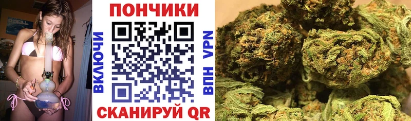 наркота Богородицк Бошки марихуана планчик